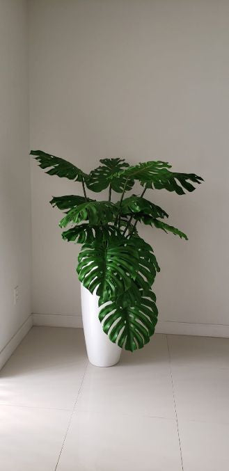 Monstera Foliage dans le pot de fleurs Dax L