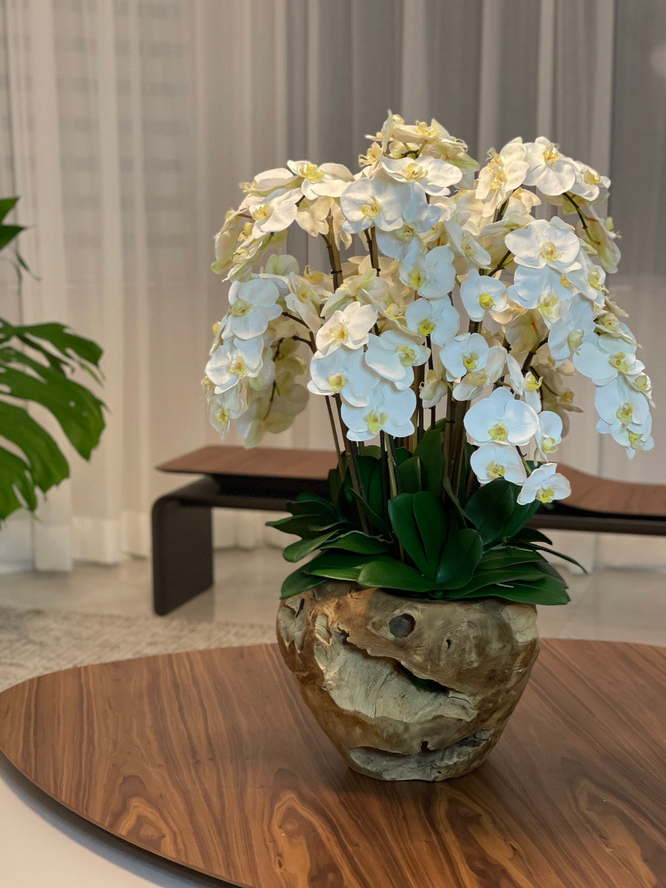 Grand bol rustique en teck avec orchidées blanches en cascade