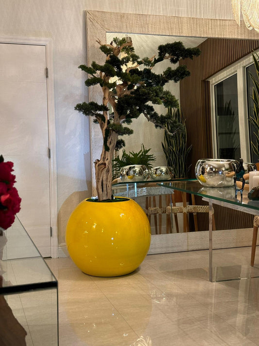 Trailing Bonsai in 30″ Saffron Yellow Globe