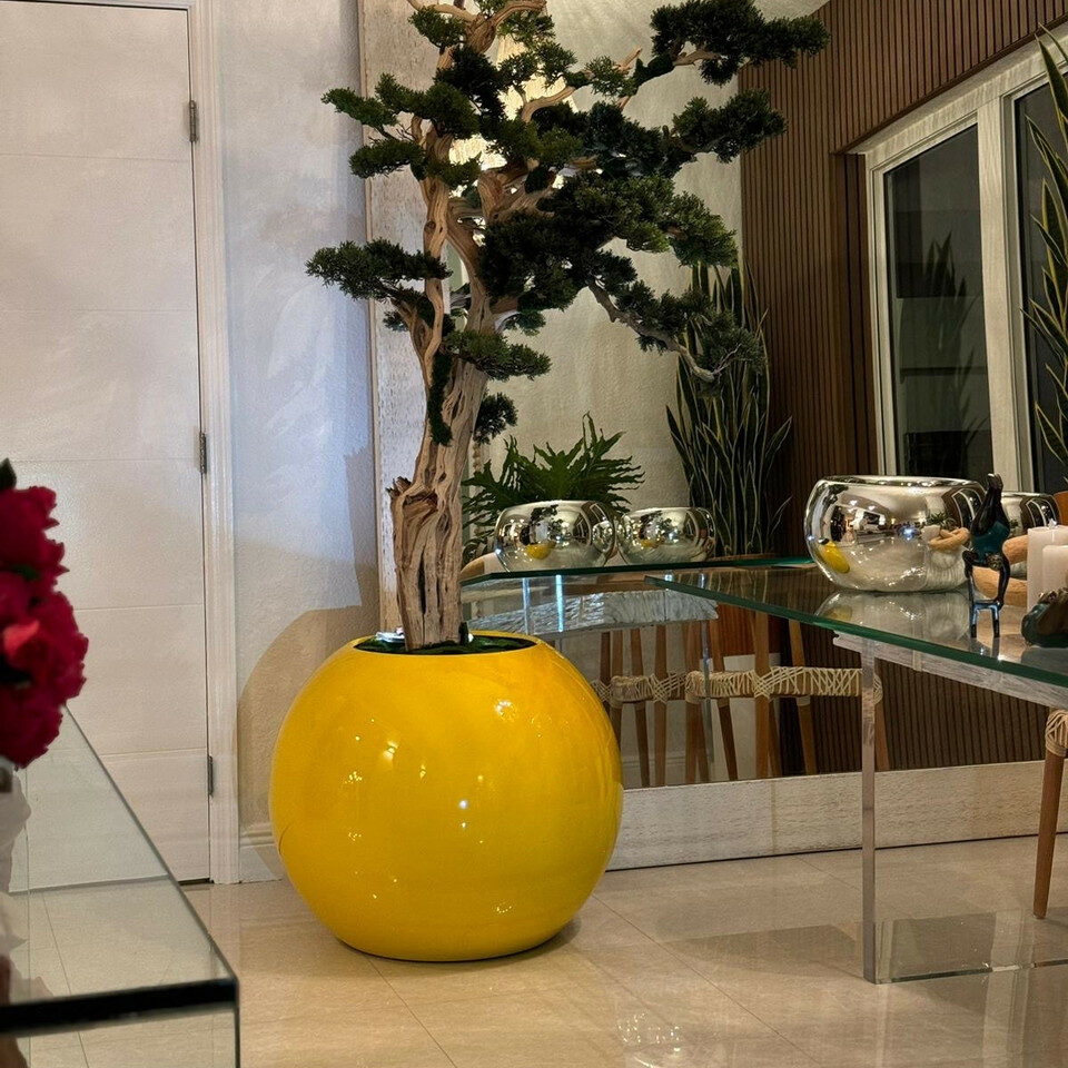 Trees and plants trailing bonsai in saffron yellow globe