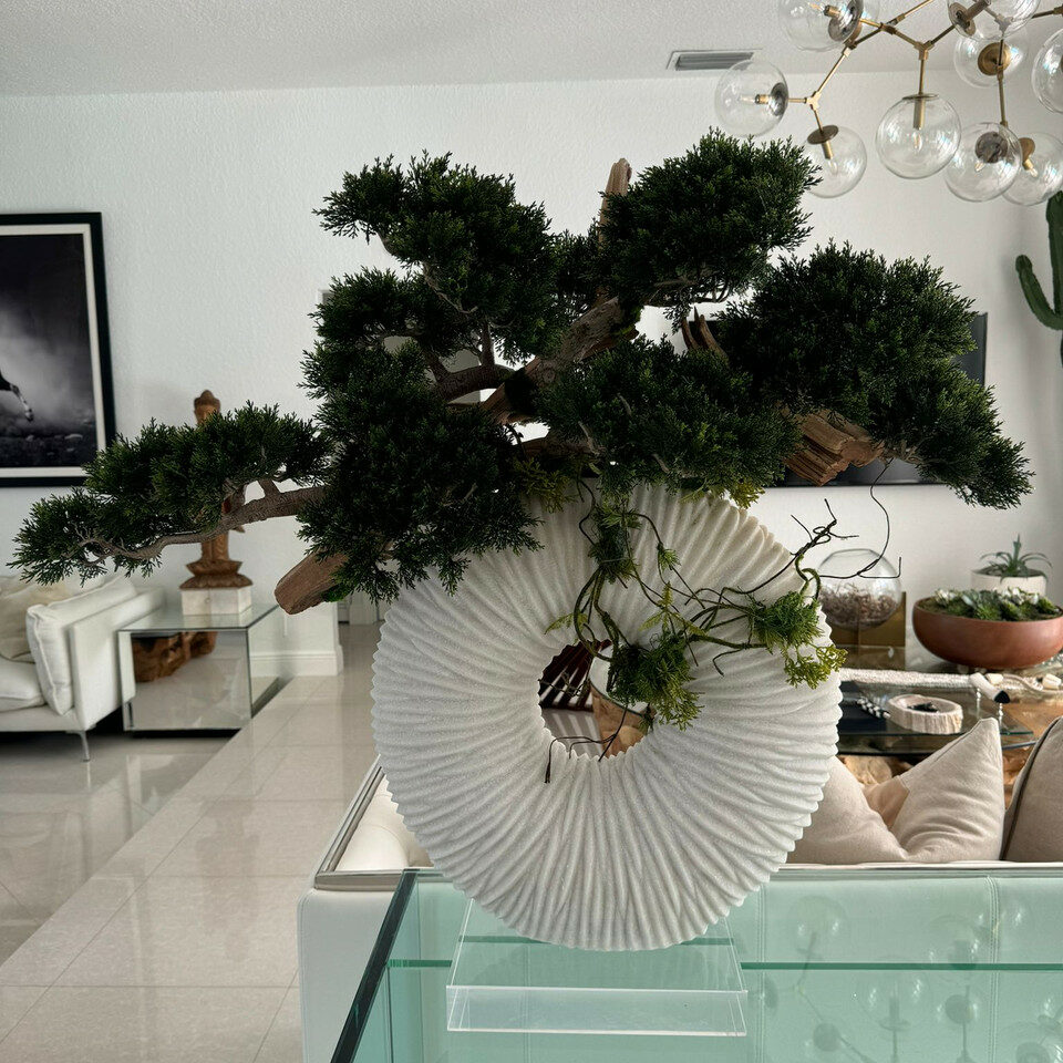 Large Eternity Vase with Trailing Bonsai Tree and Driftwood