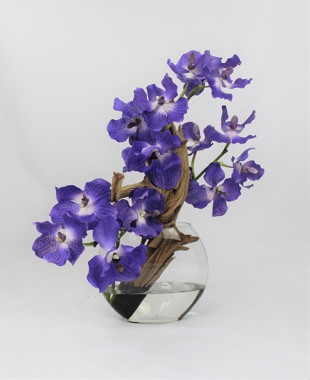 Vase Lune 10″ avec orchidées Vanda violettes
