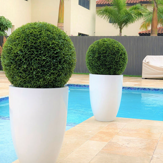 Ben L Fiberglass with 20′′ Topiary