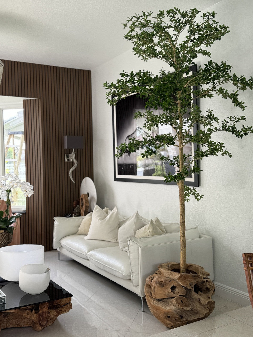 Jardinière unique en teck sculptée à la main avec arbre Shady Lady de 2,1 m
