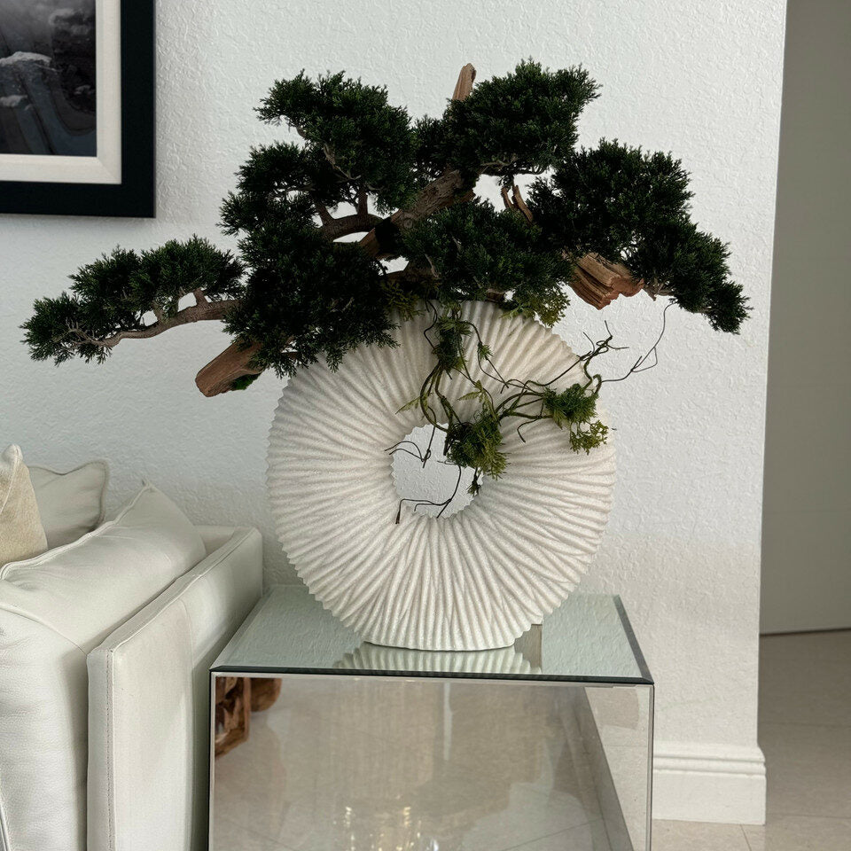 Large Eternity Vase with Trailing Bonsai Tree and Driftwood