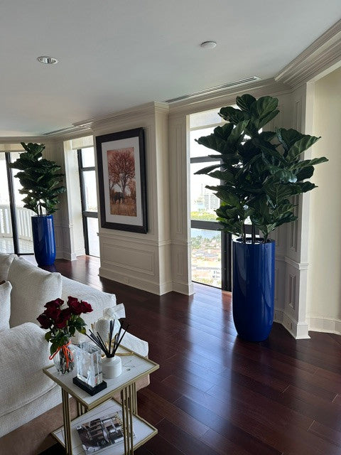 Fiddle Leaf Tree with Glossy Cobalt Blue St. Tropez Planter