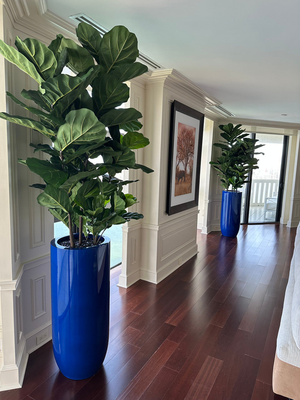 Fiddle Leaf Tree with Glossy Cobalt Blue St. Tropez Planter