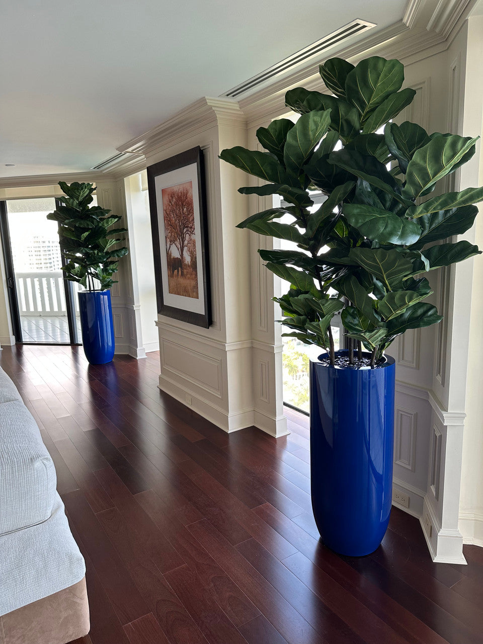 Fiddle Leaf Tree with Glossy Cobalt Blue St. Tropez Planter
