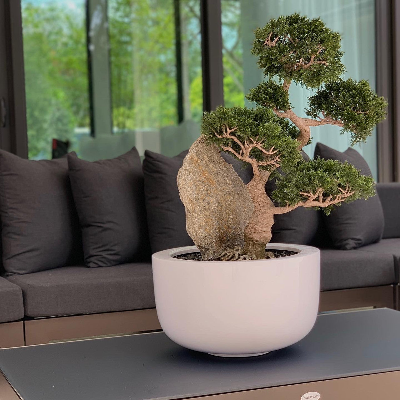 Cedar Bonsai on Fiberglass Bowl