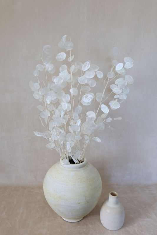 DRIED LUNARIA - DRIED FLOWERS - HOME DECOR