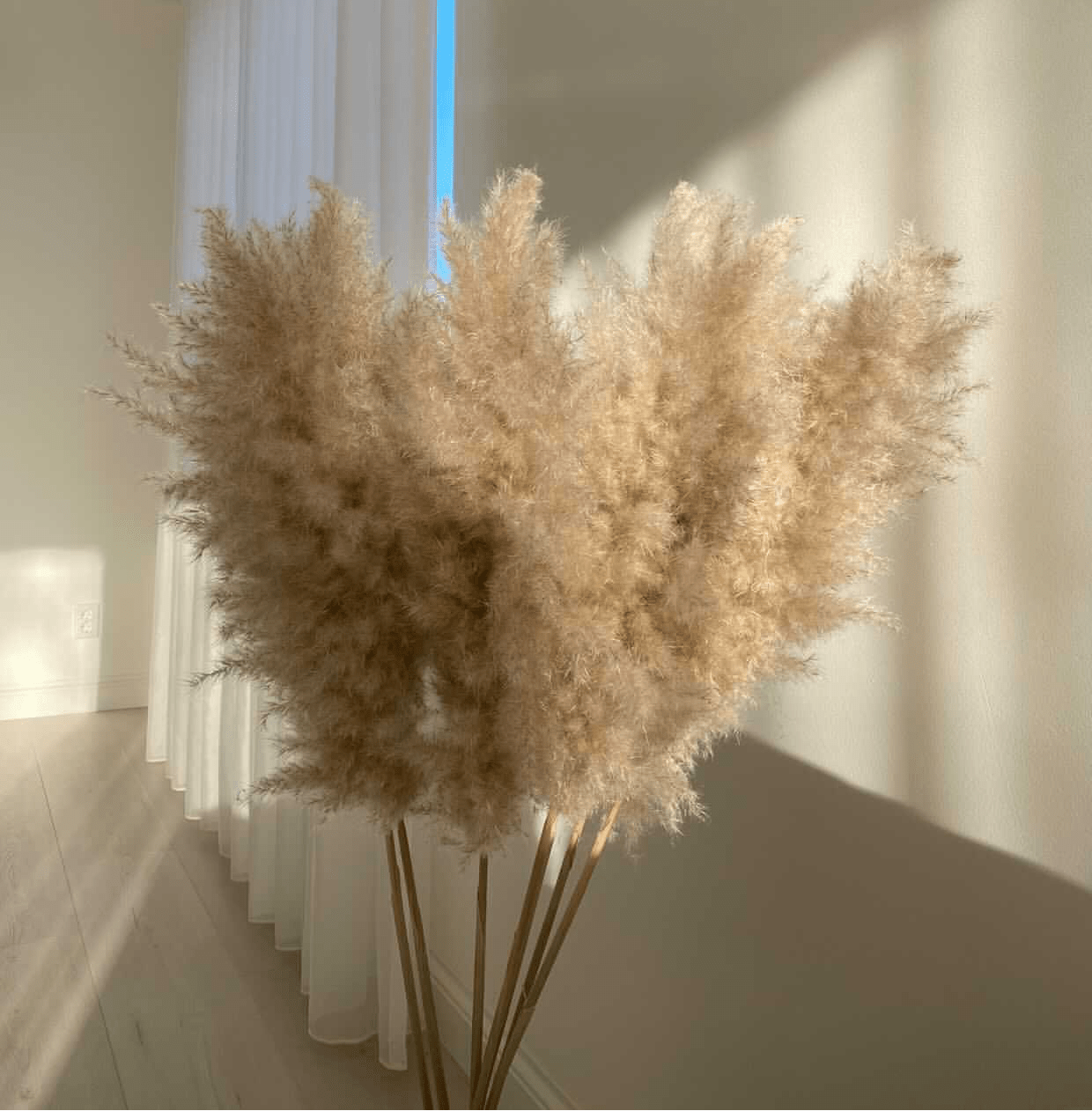 LUXE EXTRA FLUFFY - Pampas Grass- Dried Flowers - Home Decor