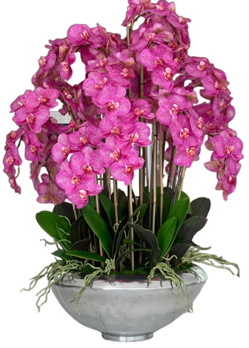 Avenue Bowl avec des orchidées Phalaenopsis roses