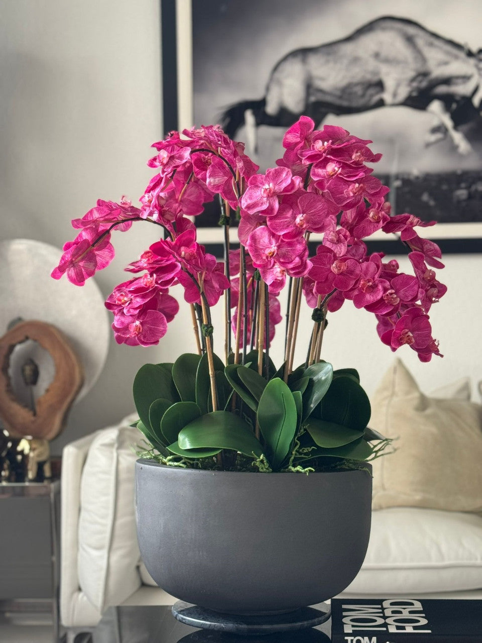 Orchidées rose fuchsia dans un pot en fibrestone gris brillant