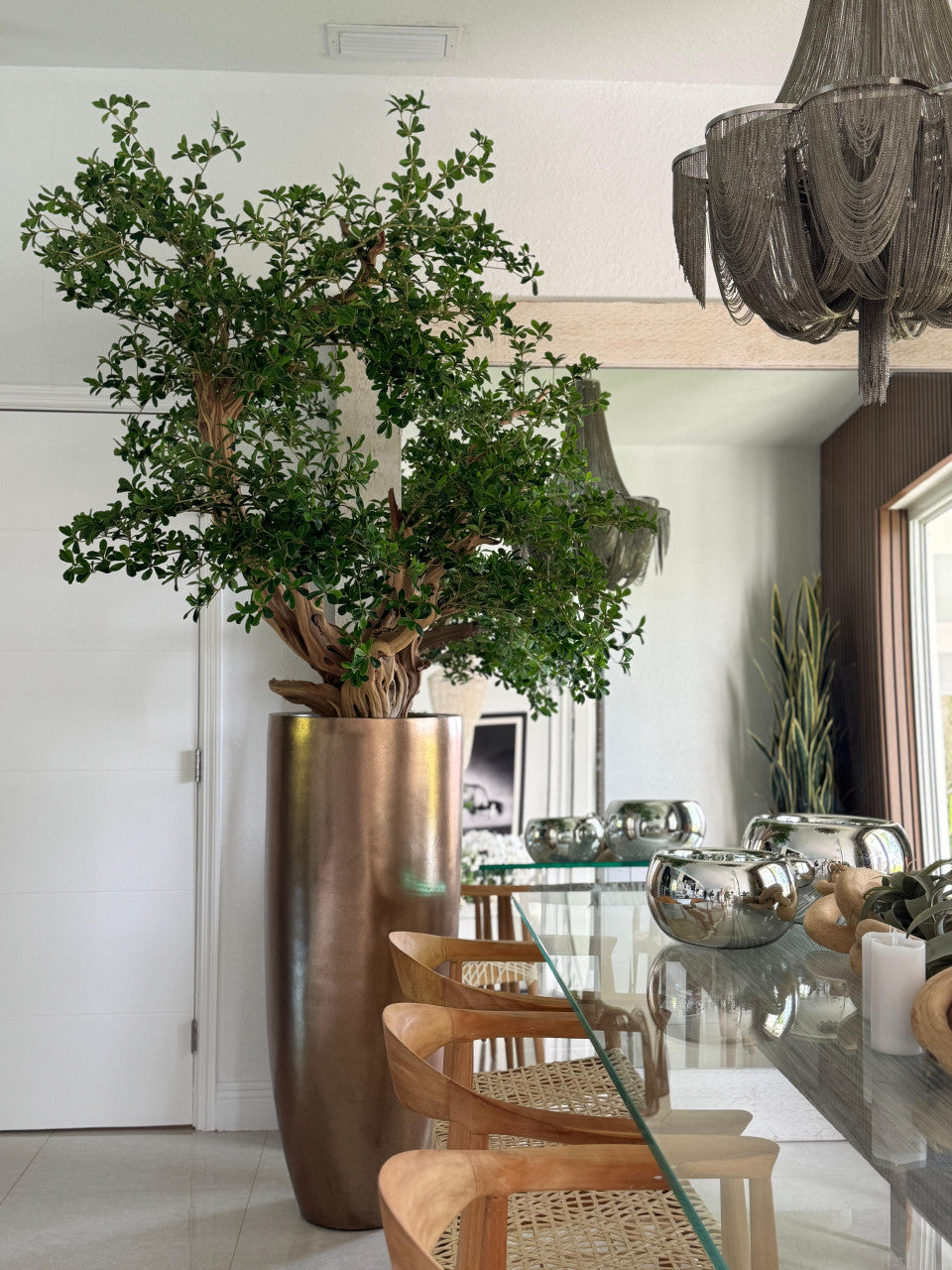 Artificial Black Olive Bonsai Tree in Gold Revolver Planter