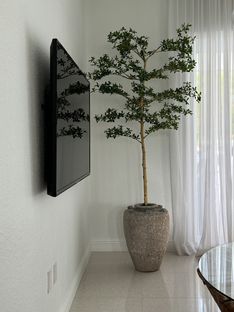 Parthenon Planter with 7′ Shady Lady Tree