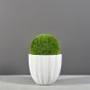 Santa Barbara Fluted Planter