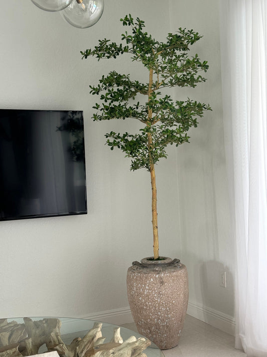 Parthenon Planter with 7′ Shady Lady Tree