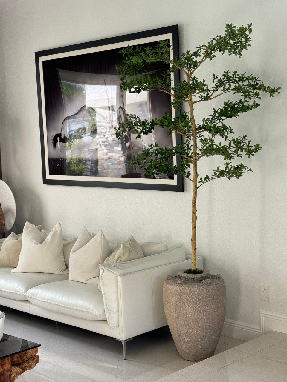 Parthenon Planter with 7′ Shady Lady Tree