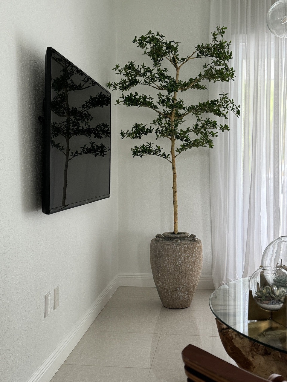 Parthenon Planter with 7′ Shady Lady Tree