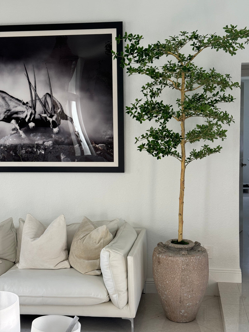 Parthenon Planter with 7′ Shady Lady Tree