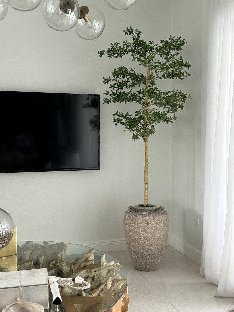 Parthenon Planter with 7′ Shady Lady Tree