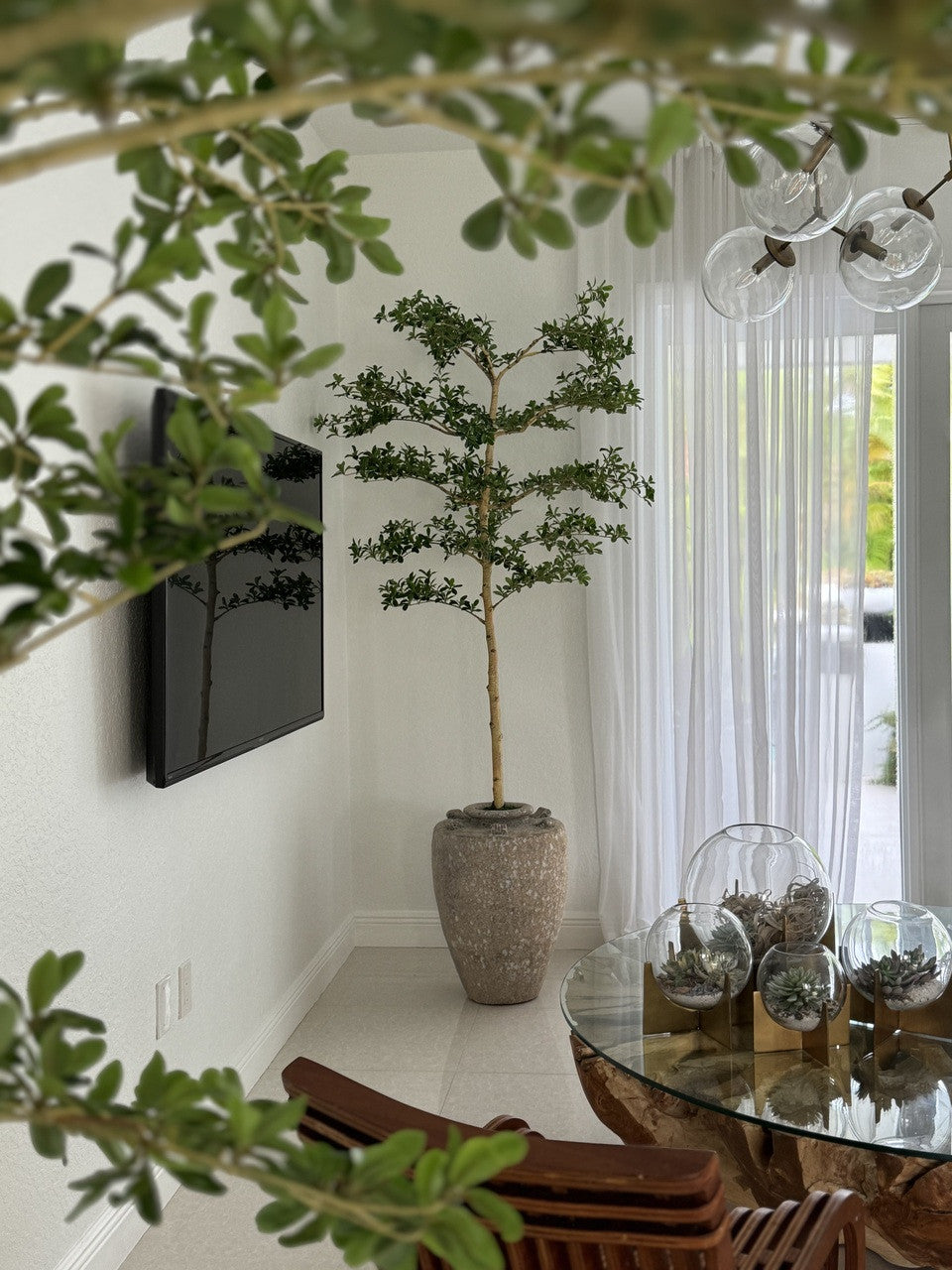 Parthenon Planter with 7′ Shady Lady Tree