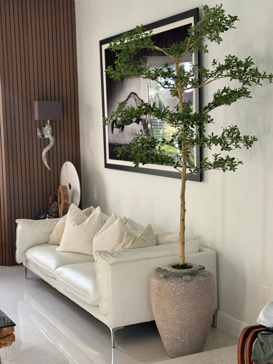 Parthenon Planter with 7′ Shady Lady Tree