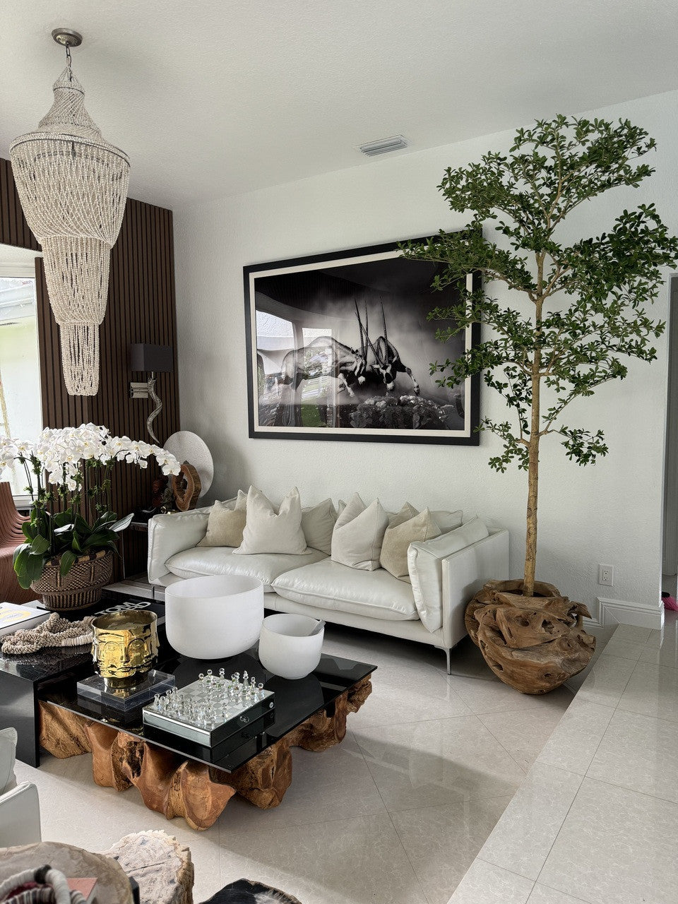 Jardinière unique en teck sculptée à la main avec arbre Shady Lady de 2,1 m